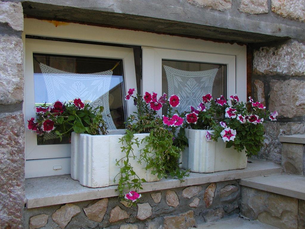 Apartment Milka Vinjerac Oda fotoğraf